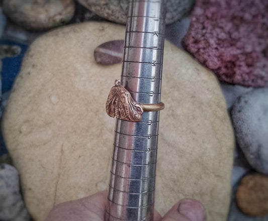 Moth Wisdom Ring for Clarity Elizabeth Shewan Artist Spirituality Size P