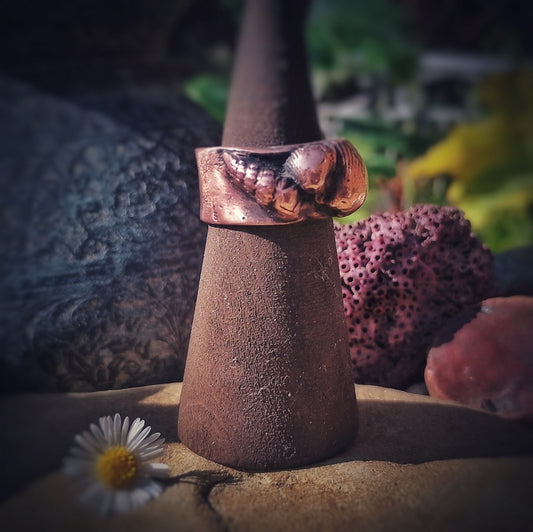 Jurassic Beach Combing