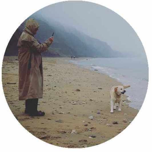 End of Life Animal Communication