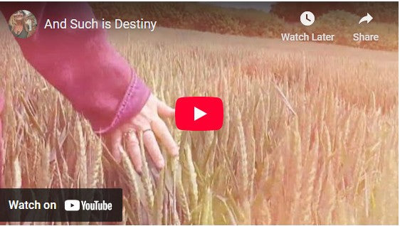 And Such is Destiny