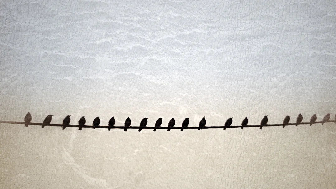 Find your Way Step my Step