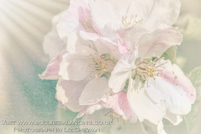 Some Physical Pain is a Build Up of Emotional Pain that Sits in your Body for Years