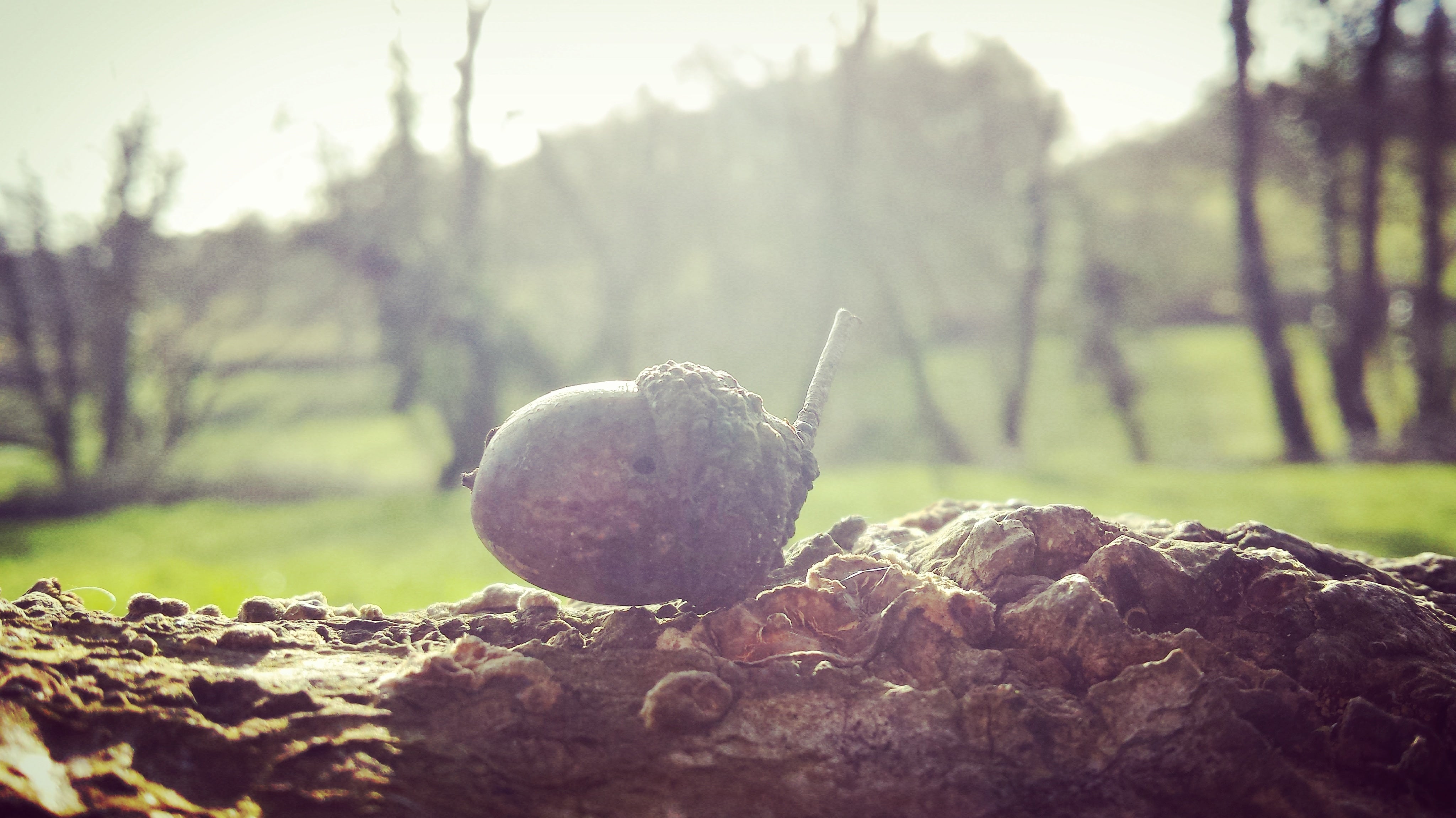 THE WORLD HAS BEEN UPSIDE DOWN