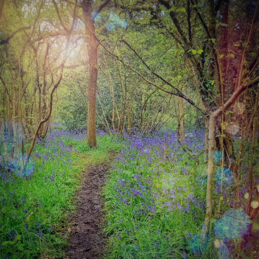 Place Yourself Well