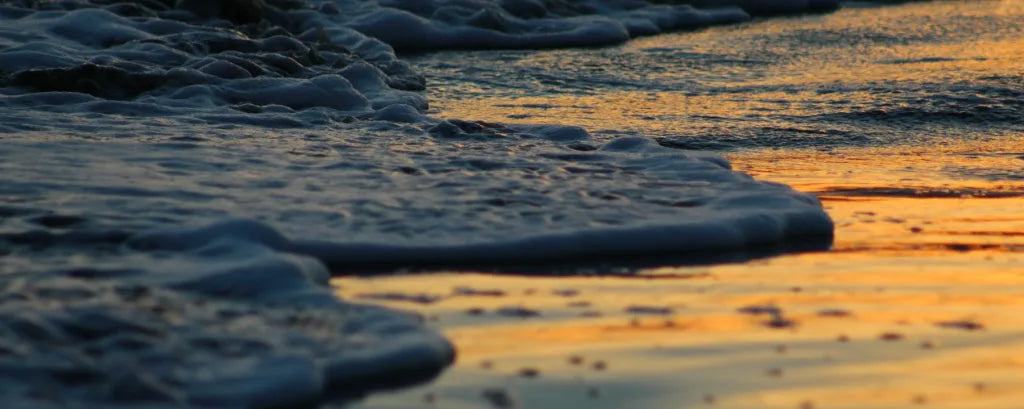 Are Empaths Born or are they Made through experiencing Abuse?