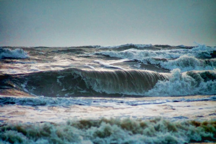 THE ELEPHANT IN THE ROOM