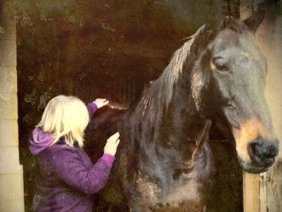 Distance Animal Healing (pay what you can)