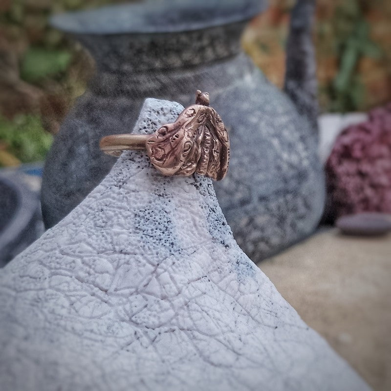 Moth Wisdom Ring for Clarity Elizabeth Shewan Artist Spirituality Elizabeth's Boutique Bronze