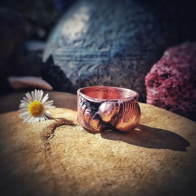 Jurassic Beach Combing
