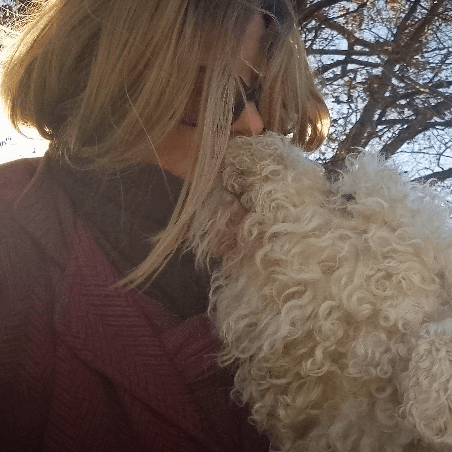 Person holding a small white dog outdoors with trees and blue sky in the background