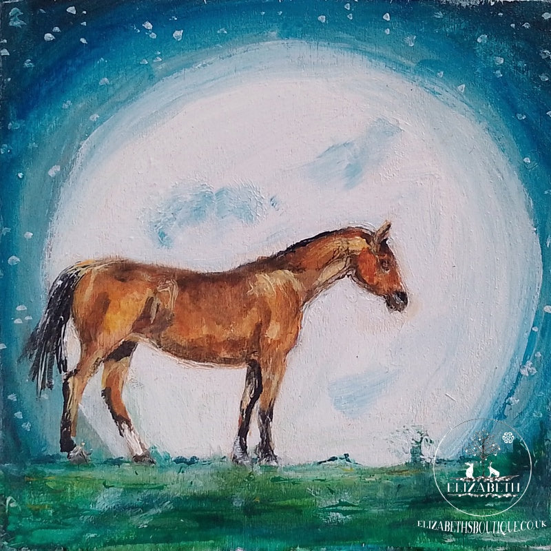 A Night Out Moon Bathing