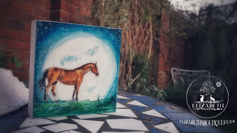 A Night Out Moon Bathing