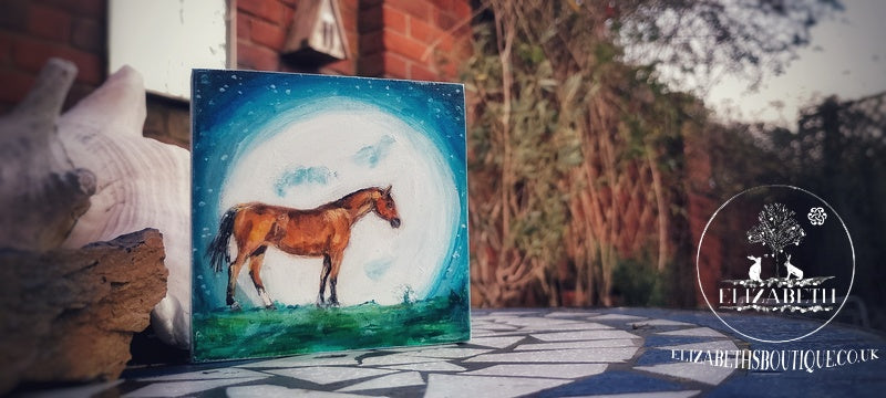 A Night Out Moon Bathing