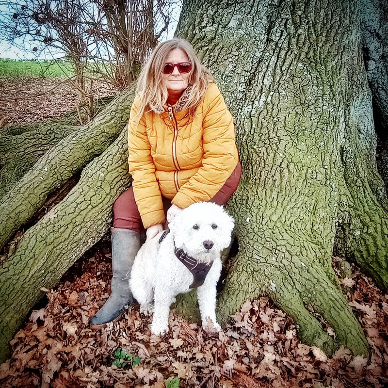 Distance Animal Healing FREE
