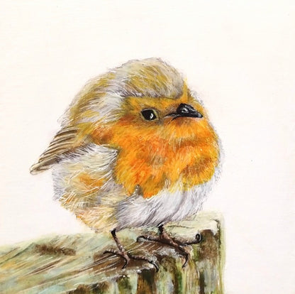 Greetings Cards (Vintage Stock)