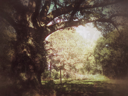 How to be Your Own Spiritual Guide & Healer