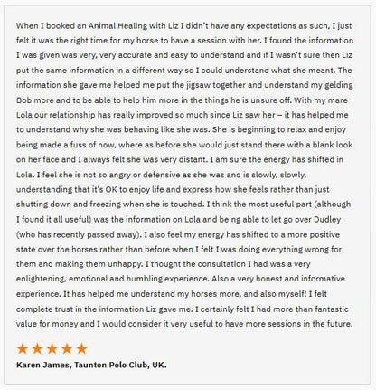Distance Animal Healing FREE