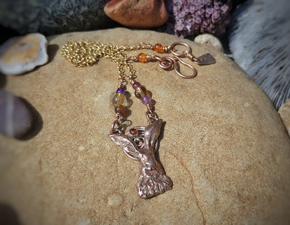 Elizabeth's Boutique
The Amber Hare Nature Energy Necklace
