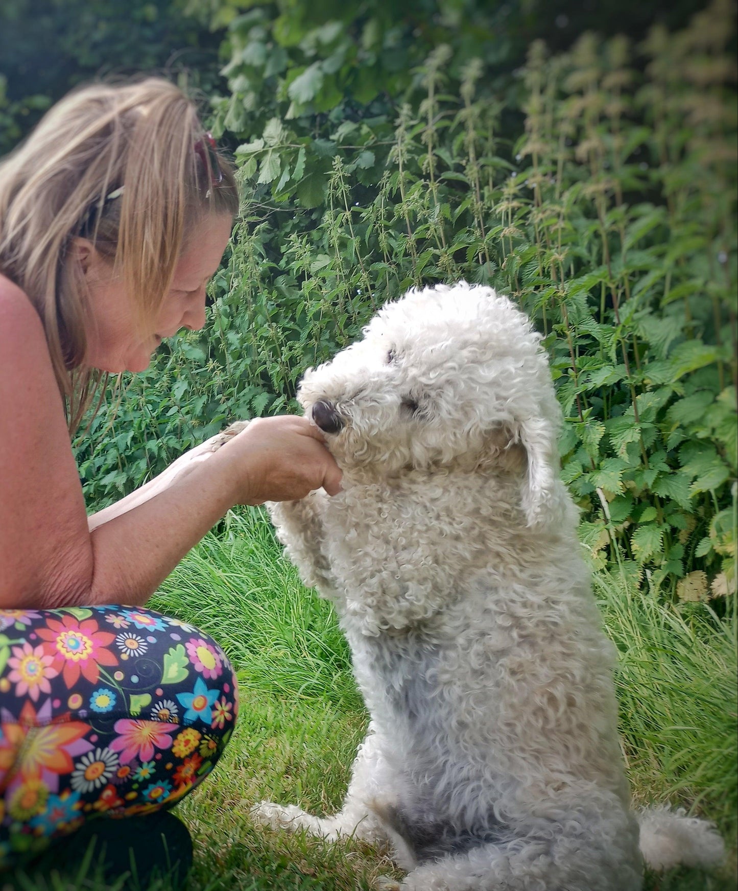 A woman in a pink top and colorful floral leggings kneels on grass, offering a treat to a fluffy white dog outdoors against a background of green plants.