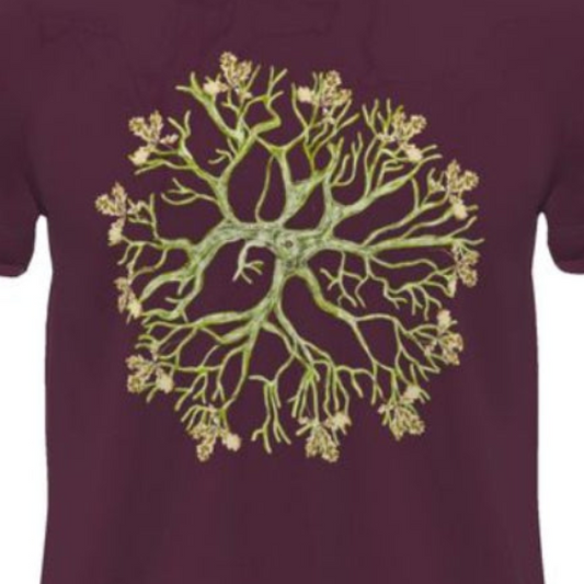 Tree of Life