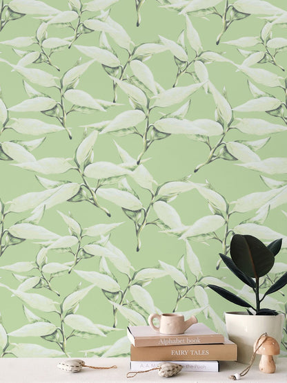 Olive Leaf Wallpaper