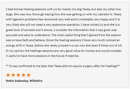 Distance Animal Healing FREE